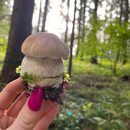 Apartament Beztroski Ustrzyki Dolne Buitenkant foto